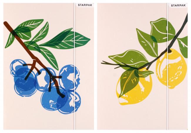 Teczka z gumką A4 Fruits STARPAK 536506