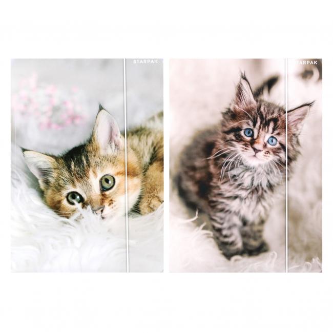 Teczka z gumką A4 Kotki STARPAK 559717