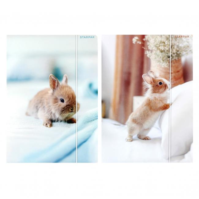 Teczka z gumką A4 Królik STARPAK 559727