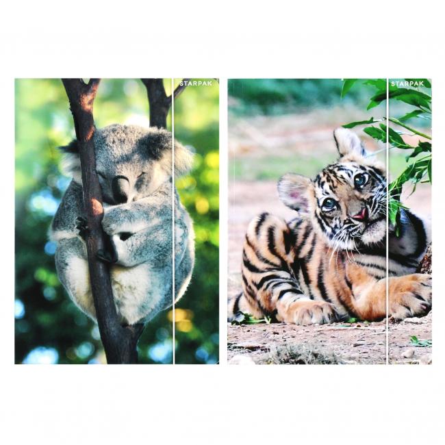 Teczka z gumką A4 Wild Animal2 STARPAK 559730