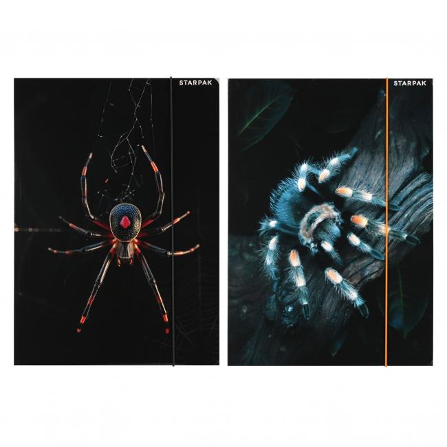 Teczka z gumką A4 Pająk STARPAK 559732