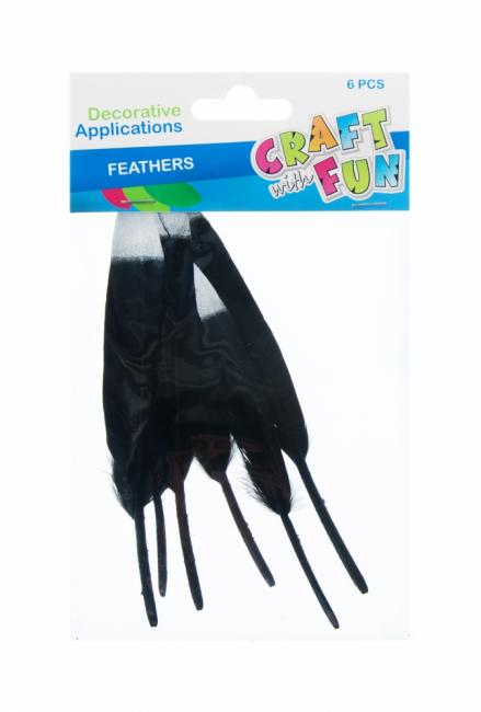 Ozdoba dekoracyjna piórka 10-15CM czarno/srebrne CRAFT WITH FUN 463663