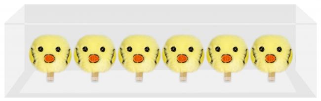 Drewniane spinacze Kurczak 2cm 6szt. Wielkanoc CRAFT WITH FUN 531881